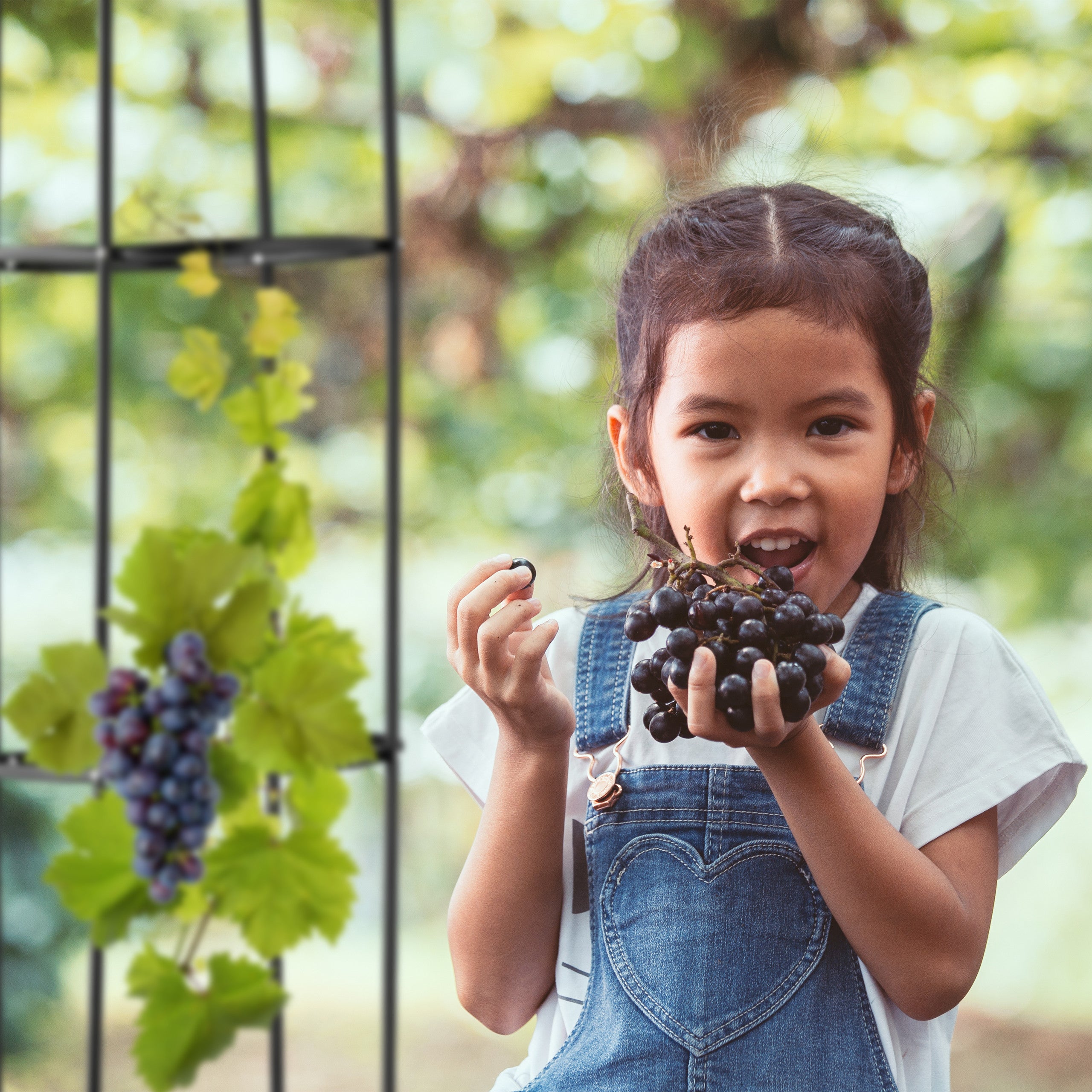 Trellis obélisque, 190 m de hauteur, Support pour plantes grimpantes, en métal, tour pour rosier, noir, Relaxdays - 3