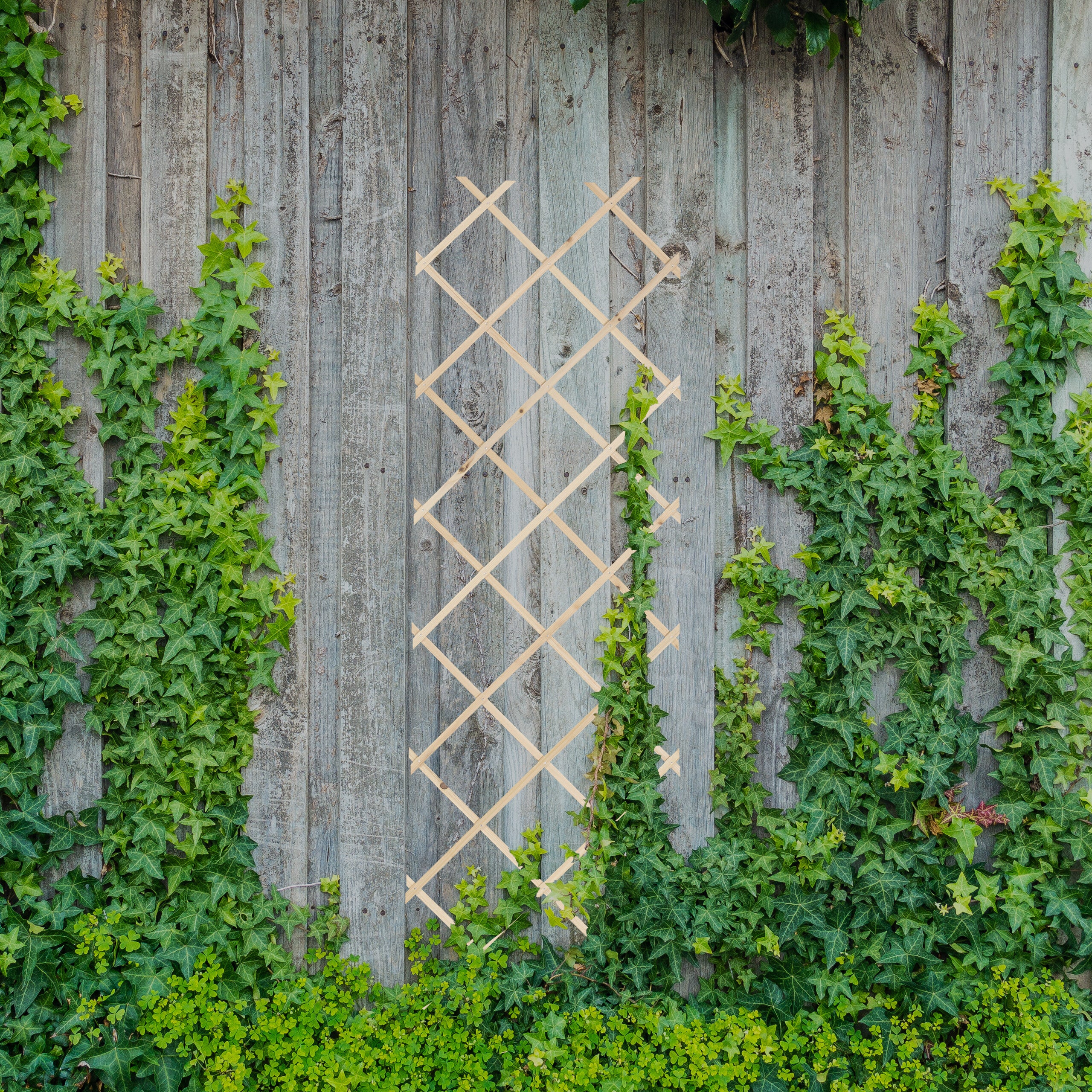 Relaxdays Tuteur à Tomates En Lot De 3, Extensible, Pour Plantes Grimpantes 180x60 Cm Jardin Balcon Amp Terrasse Bois Naturel 82557615