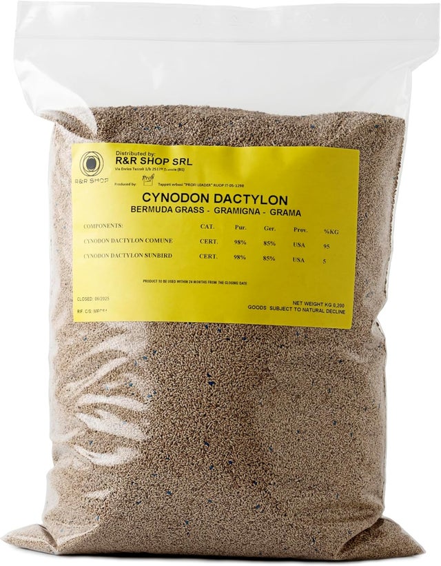 R&R SHOP - Graines de gazon résistantes, chiendent (Cynodon dactylon), originaire des États-Unis, résistantes à la chaleur (200gr-20m)