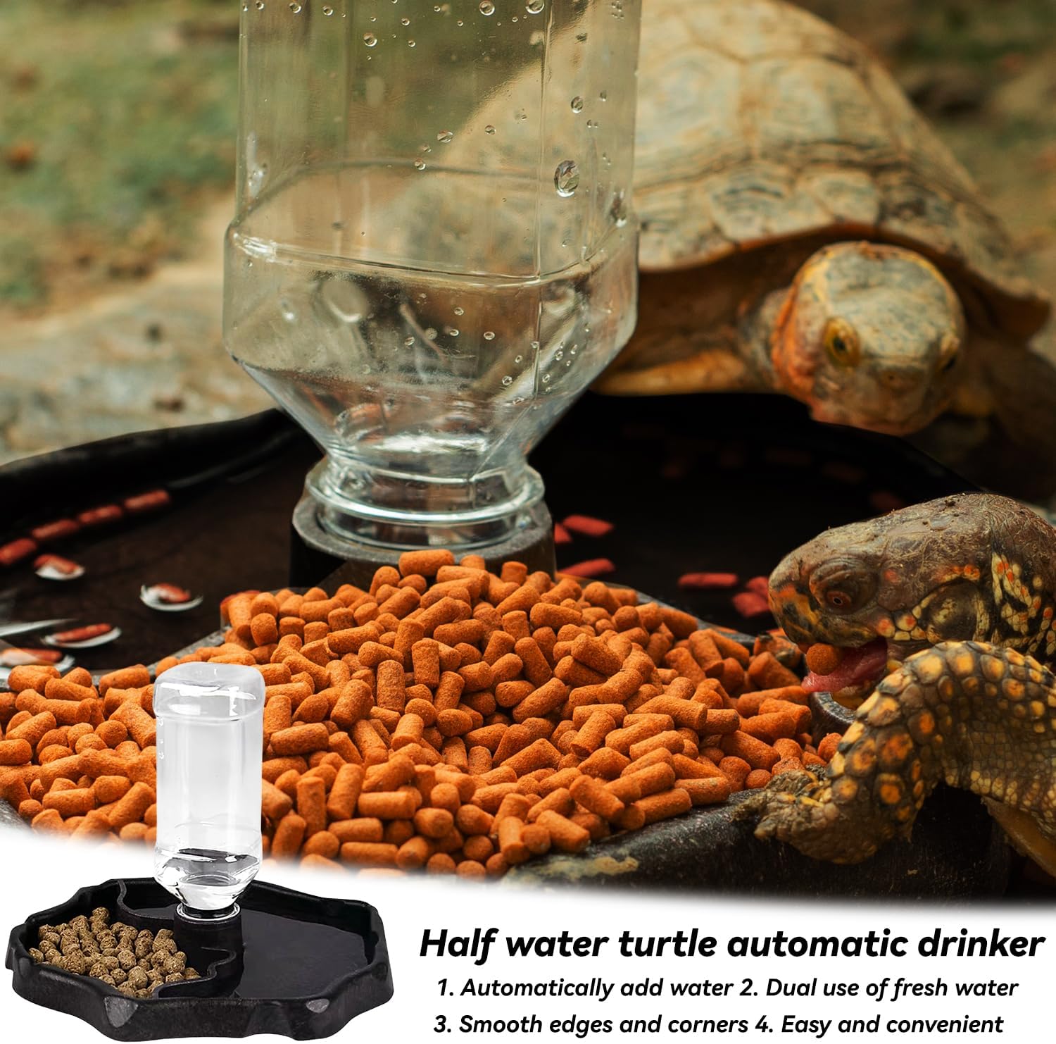 Distributeur d'eau pour reptiles tortues bol d'eau : gamelle pour reptiles pour tortues, distributeur automatique de nourriture pour réservoir d'eau, - 4