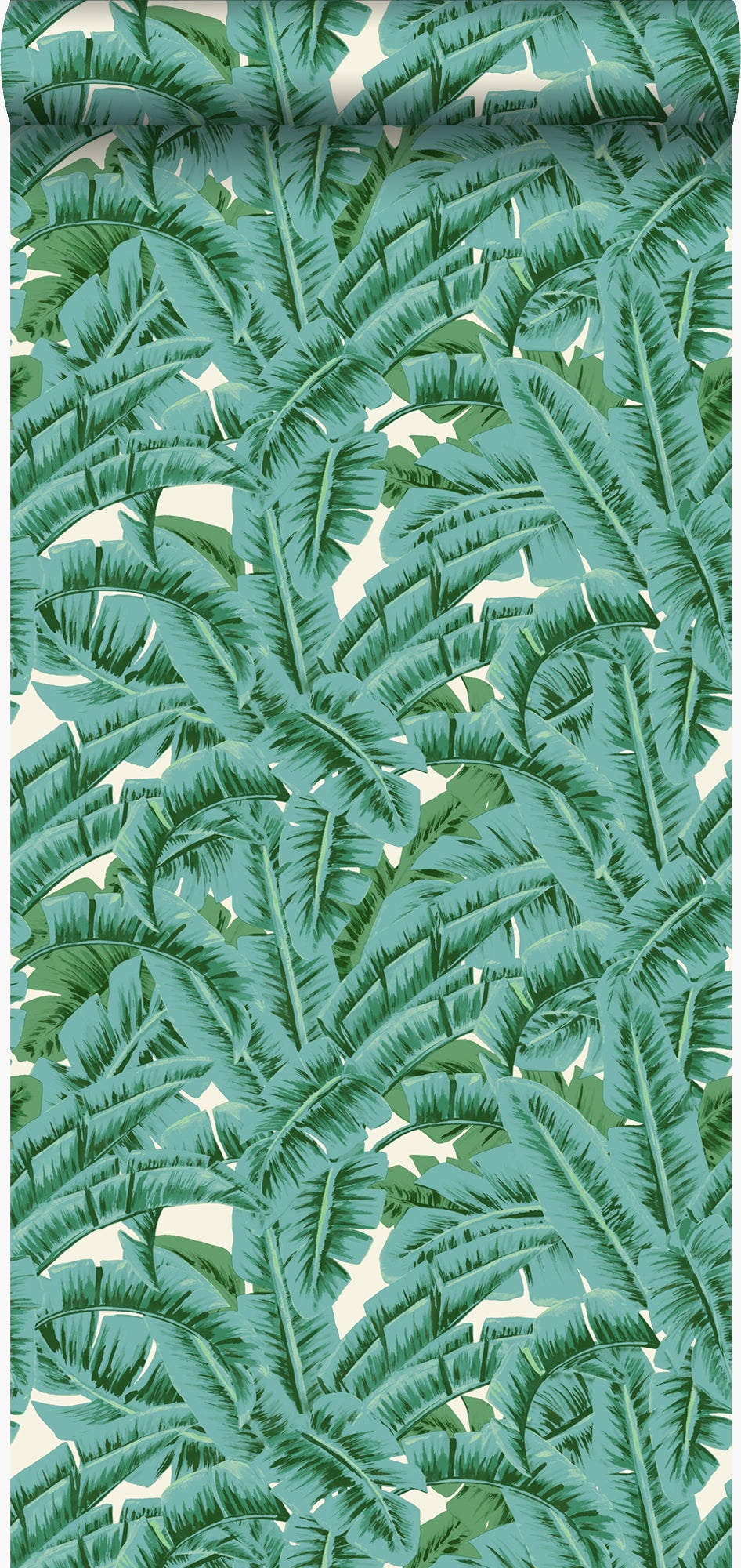 Tapeta liście palmowe zielonym - 53 cm x 10.05 m - ORIGIN