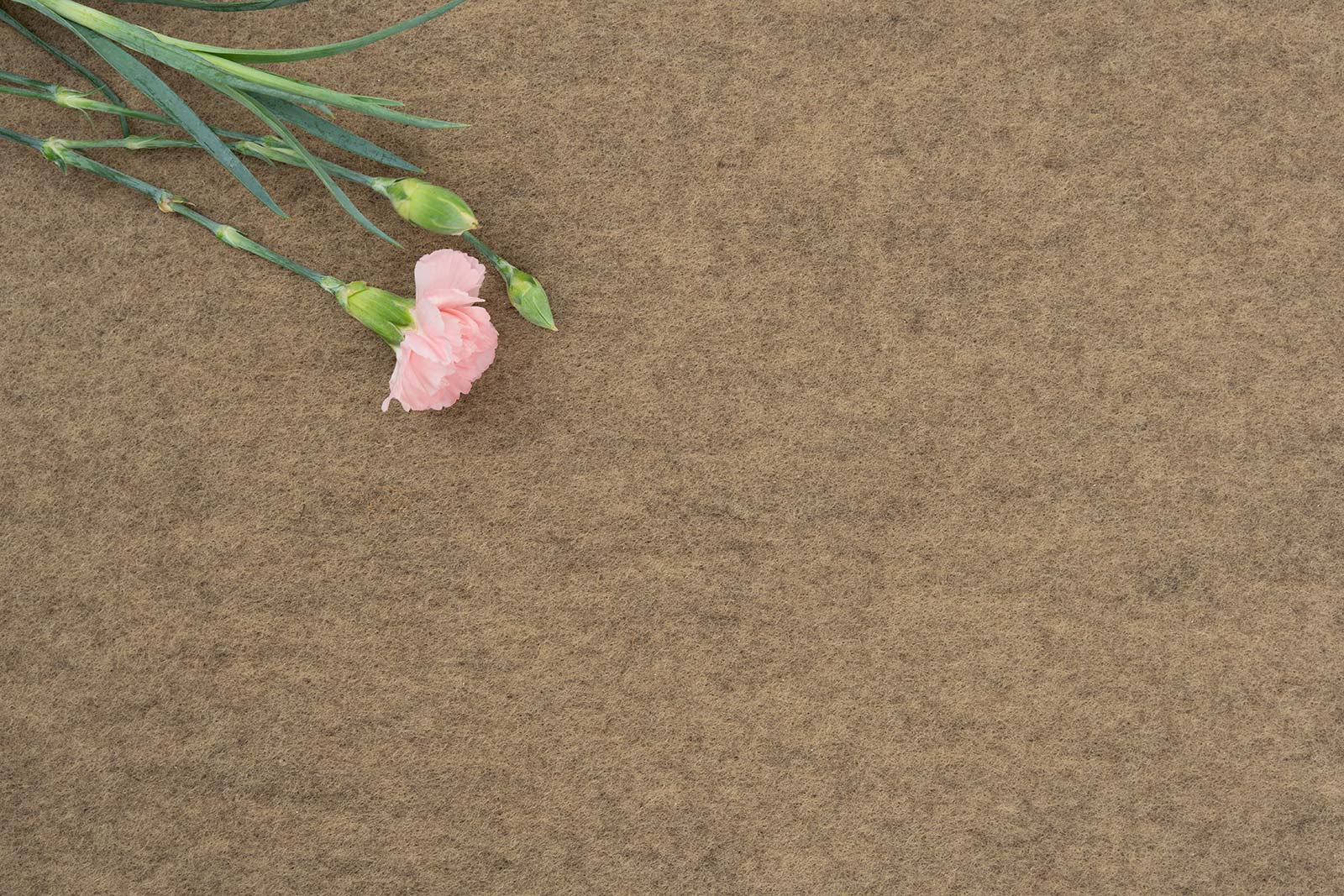 Dalle moquette autocollante beige dalle de moquette adhésive 40 x 40 cm Schatex Easy pour la maison - 7