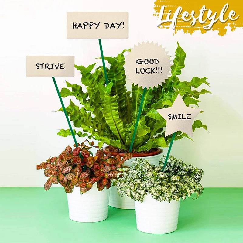 50 tiges de support pour plantes de 40 cm de long, tiges pour compositions florales, adaptées aux jardins et aux serres - 5