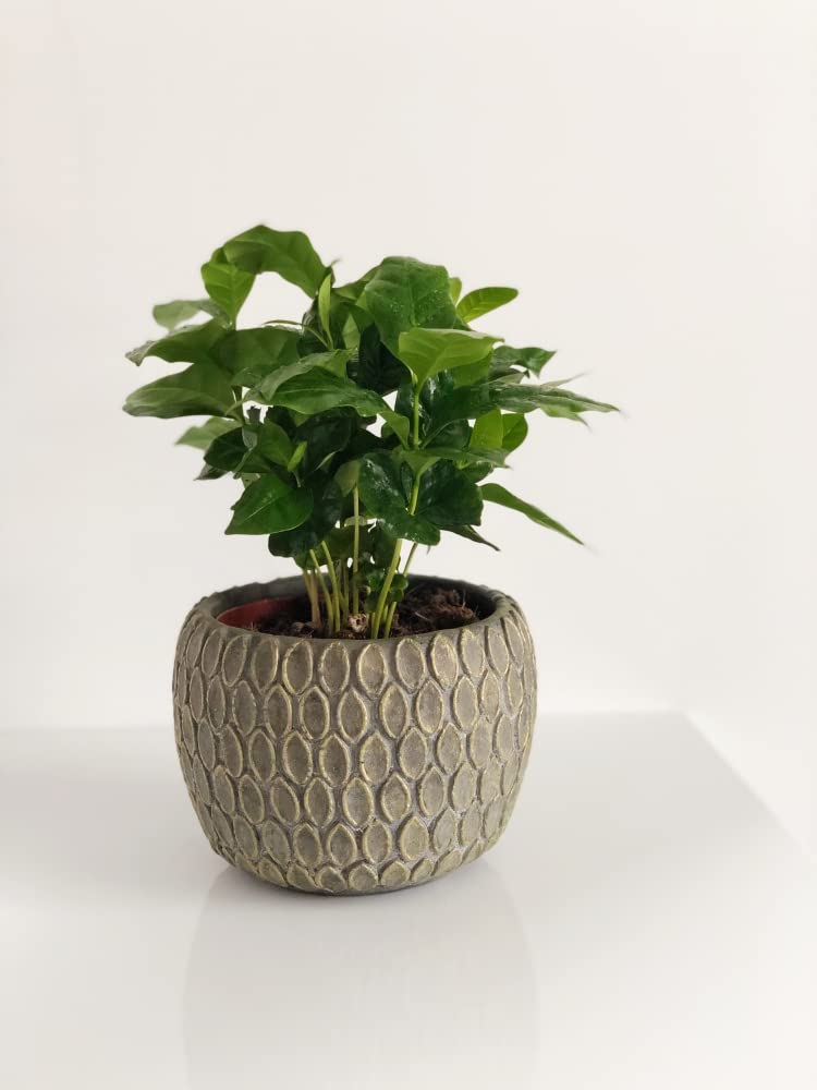 Zestaw 2 szt doniczka osłonka ceramiczna na kwiaty ozdobna beż-brąz ø 14cm - KOTARBAU - 4