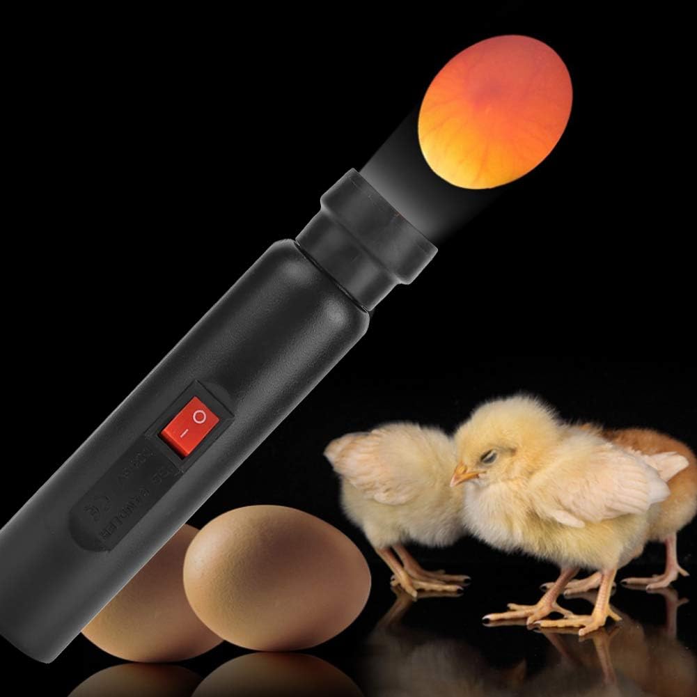 Candidaio per Uova per Uova di Gallina, Incubatrice di