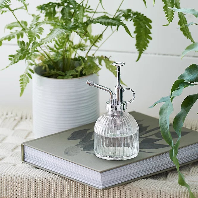 Bouteille d'arrosage en verre transparent, vaporisateur de plantes, petit arrosoir en verre pour plantes en pot d'intérieur, jardin - 4