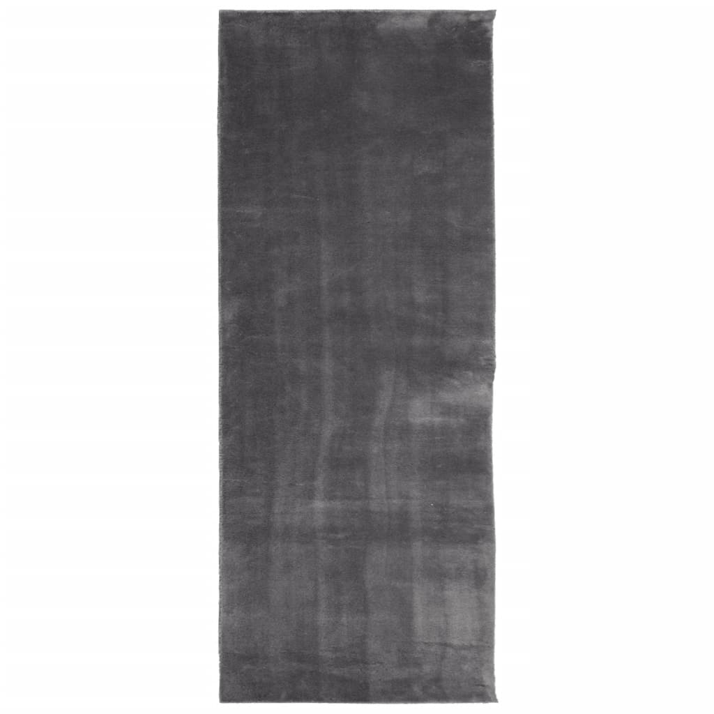 Tapis HUARTE à poils courts doux lavable anthracite 80 x 200 cm - 2