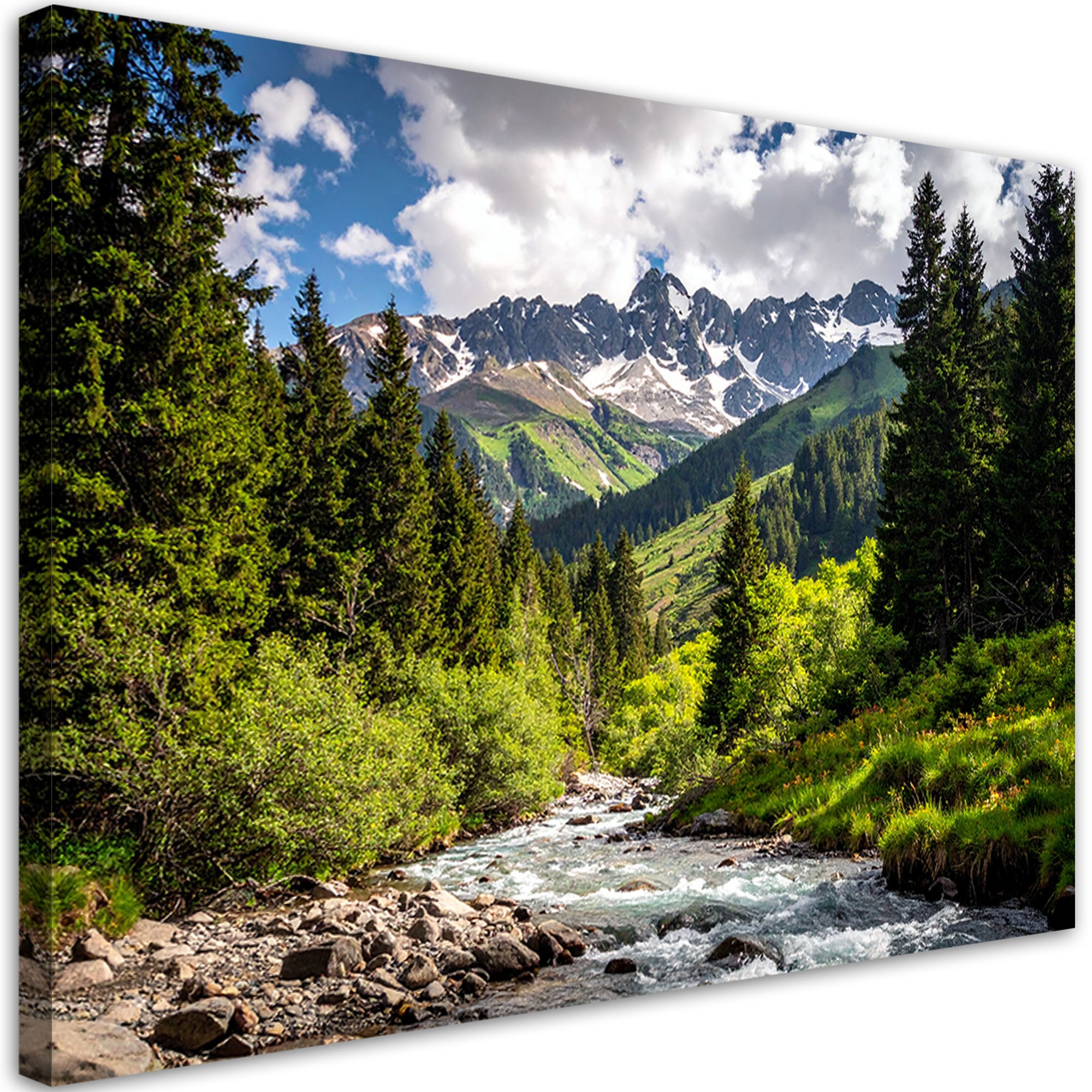 Obraz do salonu sypialni biura, Krajobraz góry las rzeka natura 120x80