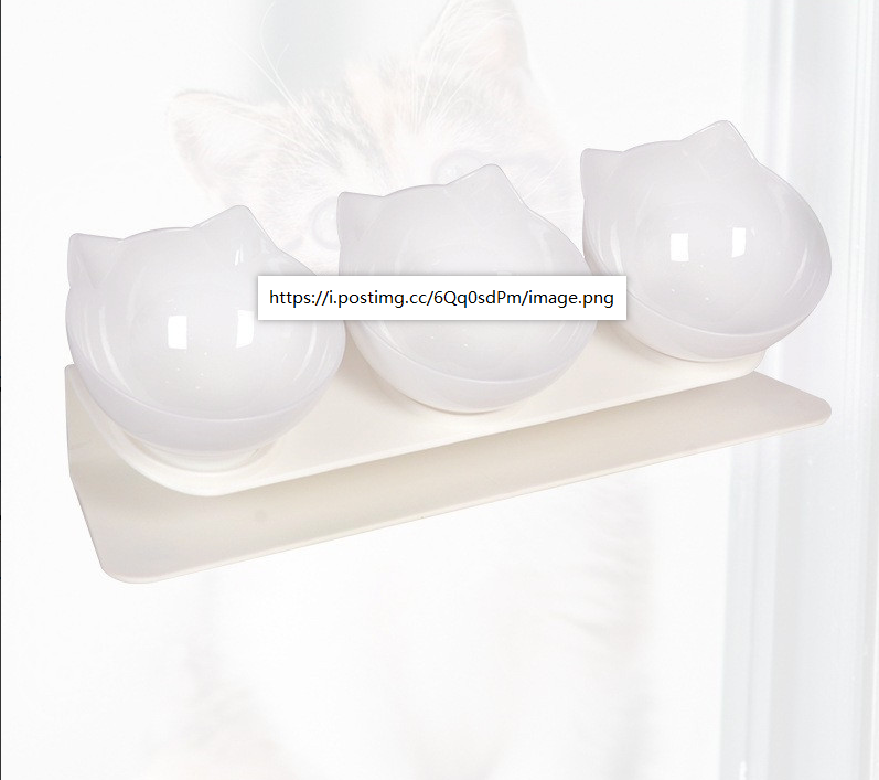 Ciotola Per Gatti Rialzata 3 In 1 - Inclinazione 15°, Antivomito, Trasparente - Foto 10