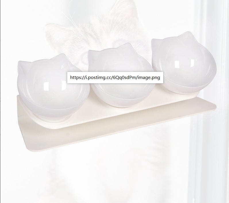 Ciotola Per Gatti Rialzata 3 In 1 - Inclinazione 15°, Antivomito, Trasparente - Foto 10