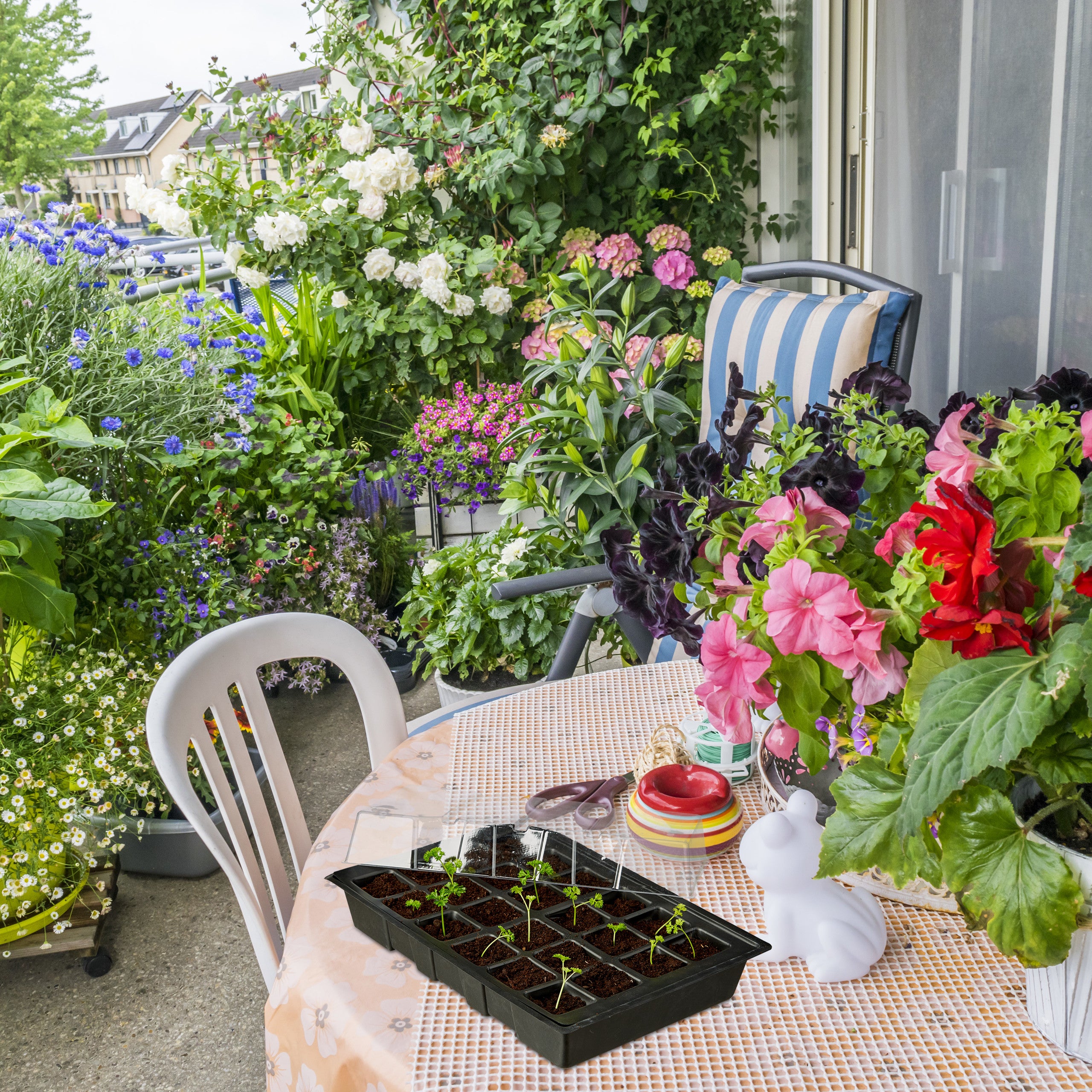Mini Serra Semenzaio 24 Vasetti - Kit Germinazione Con Semi Di Pomodoro - Foto 2