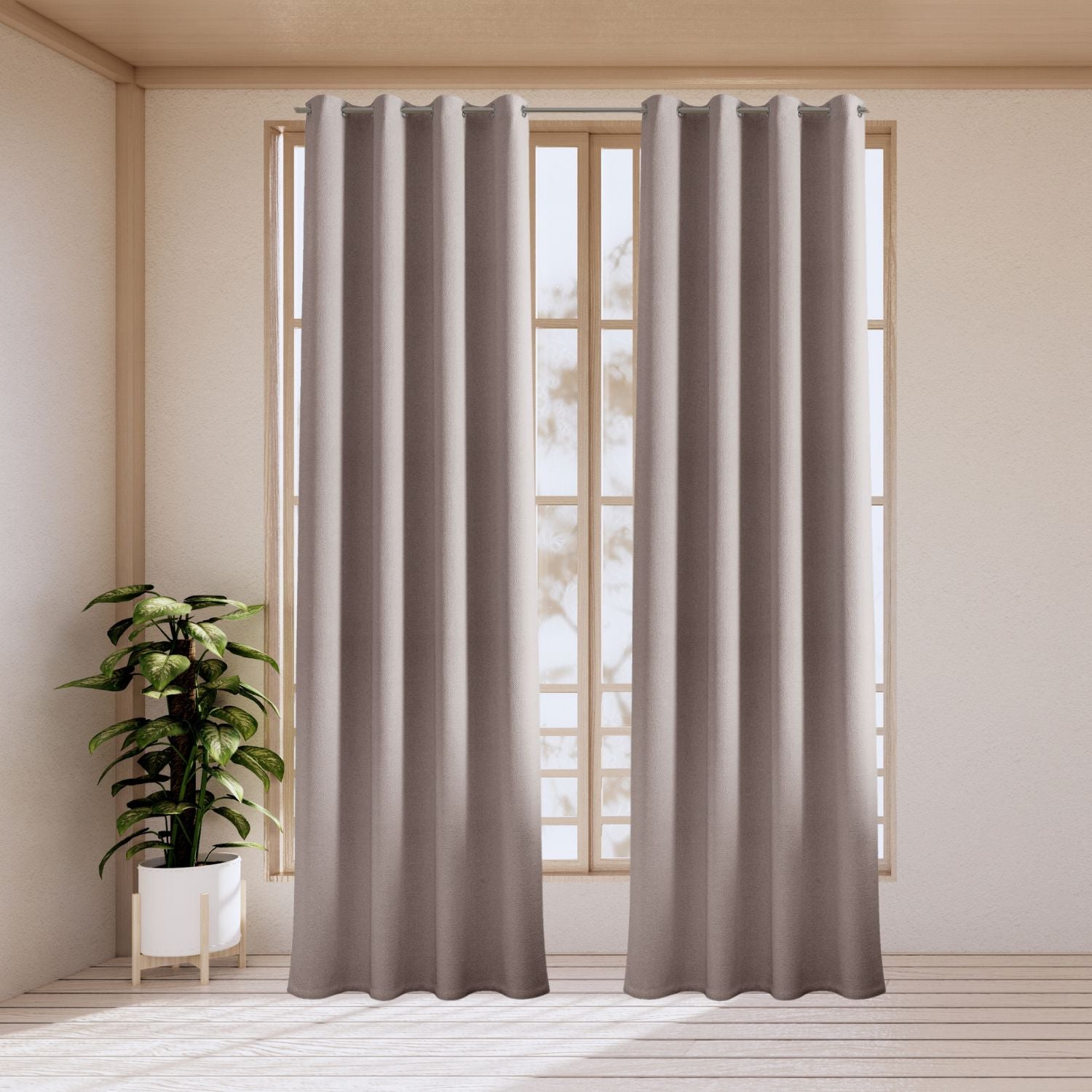 Incoloro / transparente