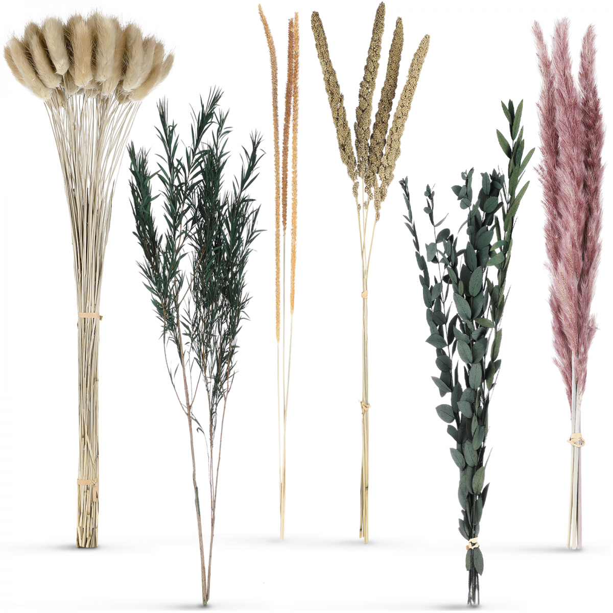 85 fleurs séchées pour la herbes la pampa séchées, fleurs roseau séchées pour bohème, salon, mariage, compositions florales, table. Bouquet décoration - 3