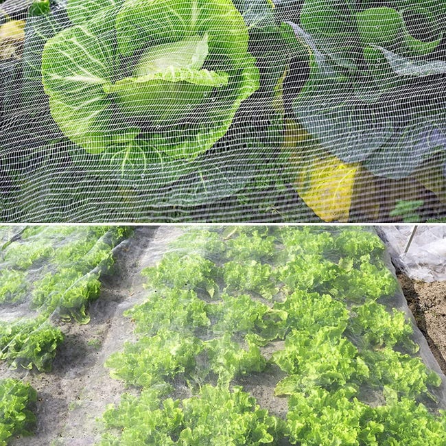 Rete di Protezione da Insetti a Maglia Fine, Rete Anti Insetti e Anti Uccelli per Orto Giardino, Rete Antinsetto per Frutta Fiori Piante Colture Serre, Bianca(2.5x20m Rete di Protezione da Insetti a Maglia Fine, Rete Anti Insetti e Anti Uccelli per Orto Giardino, Rete Antinsetto per Frutta Fiori Piante Colture Serre, Bianca(2.5x20m
