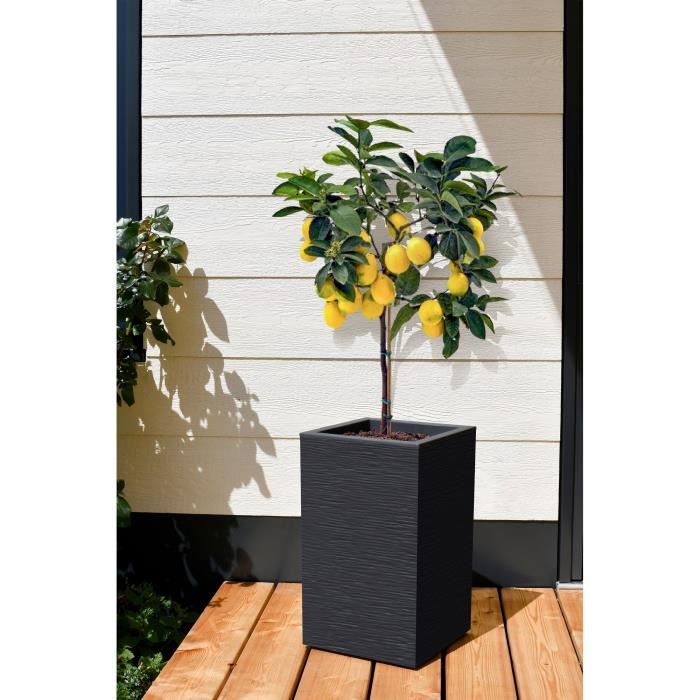 Caixa de flores quadrada alta Graphit Up 36 L 29,5 x 29,5 cm x 49,5 cm Cinza antracite - 2
