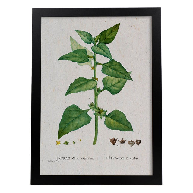 Marcos para pósteres: compra online | Leroy Merlin