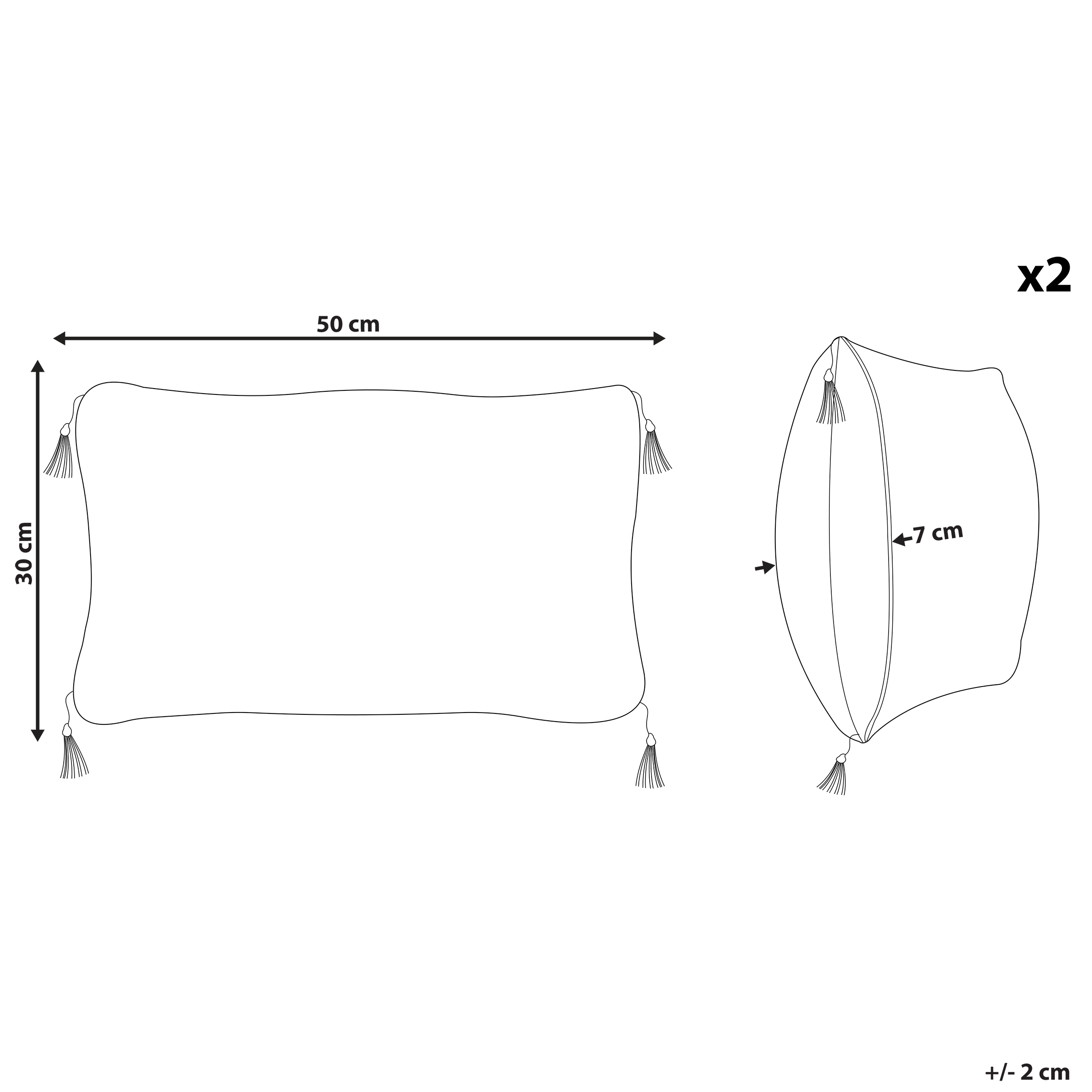Lot de 2 coussins décoratifs LIRIOPE 30 x 50 cm Noir/blanc Motif géométrique - 3