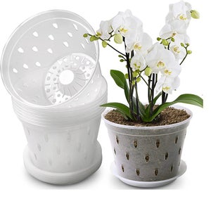 VASO TRASPARENTE PORTO CON SUPPORTO PER ORCHIDEE DIAMETRO CM 14 COMPLETO DI SOTTOVASO 1 PEZZO - Zambonin Agricoltura