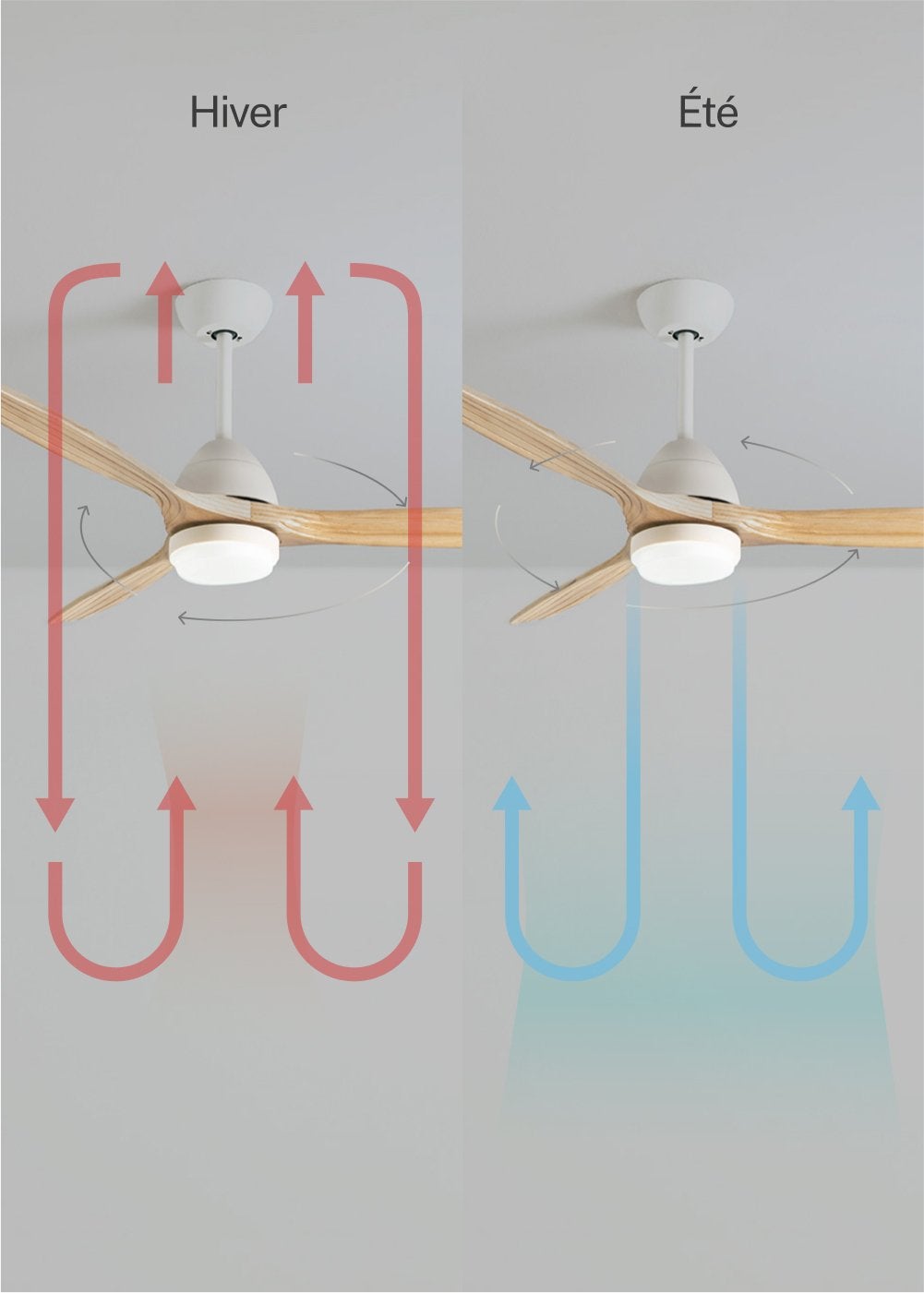 CREATE - WIND CUP M - Ventilateur de plafond 40W silencieux Ø132 cm 100% bois avec eclaraige avec wifi - 3
