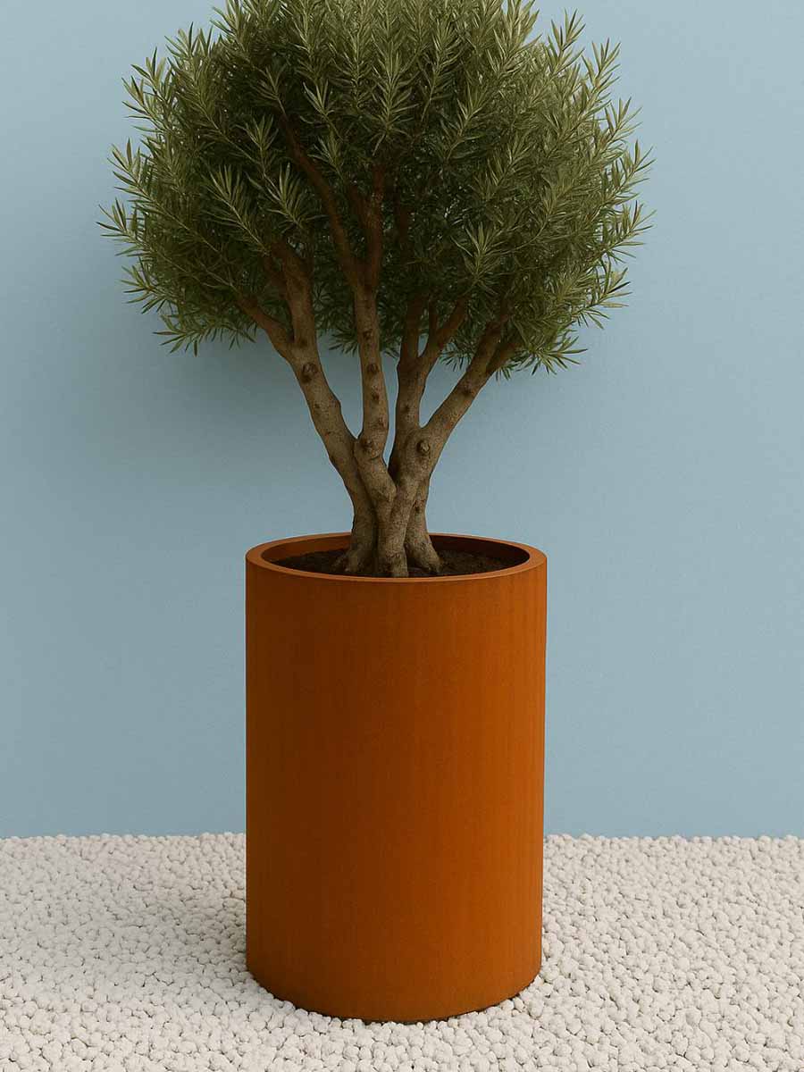 Jardinière Ronde Acier Corten | (ø 80x40cm) - 3