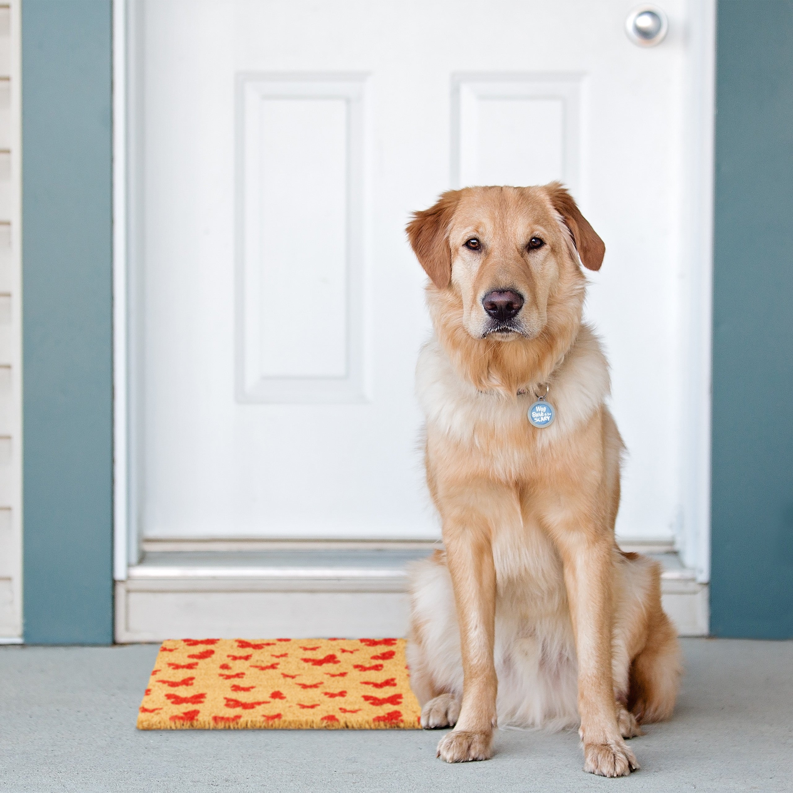 Relaxdays Paillasson coco, 40x60 cm, tapis d’entrée motif papillon, antidérapant, intérieur et extérieur, nature/rouge - 3