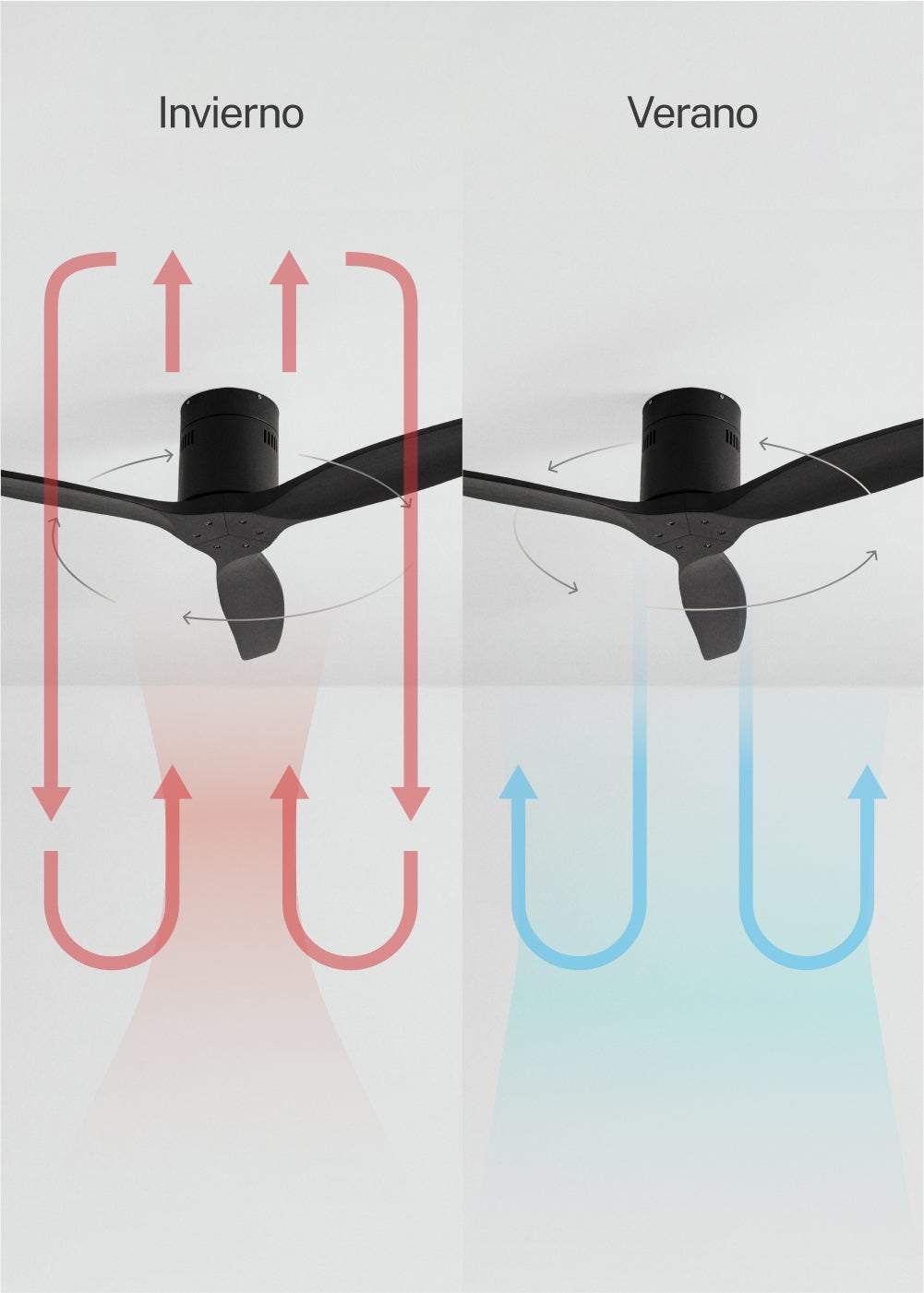 CREATE - WIND CALM M - Ventilateur de plafond silencieux 40W avec pales techniques en ABS Ø132cm sans eclaraige avec wifi - 6