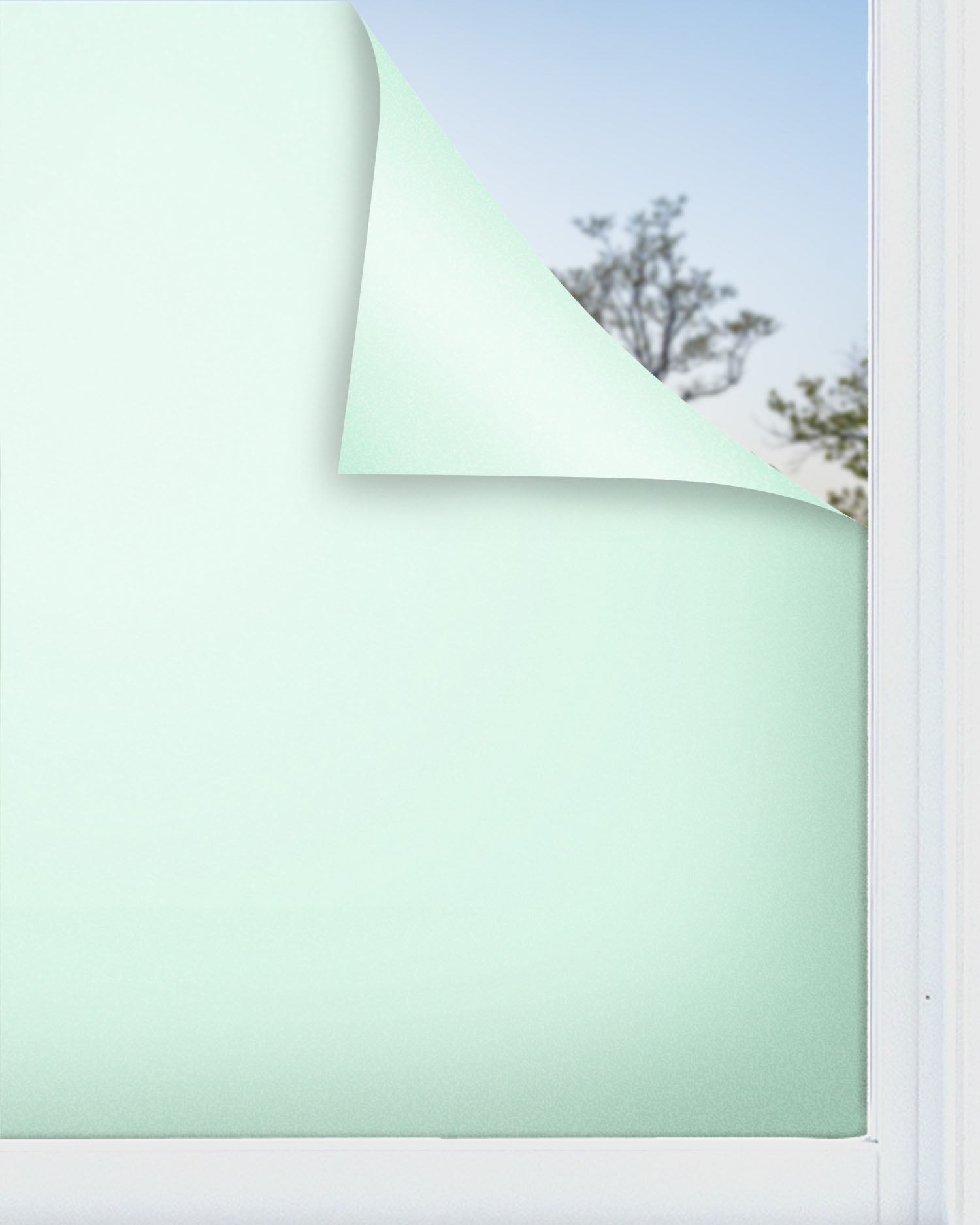 Panorama vinilo para ventanas adhesivo verde 120x200 cm - vinilos adhesivo para cristal - pegatina opaca - vinilo translúcido