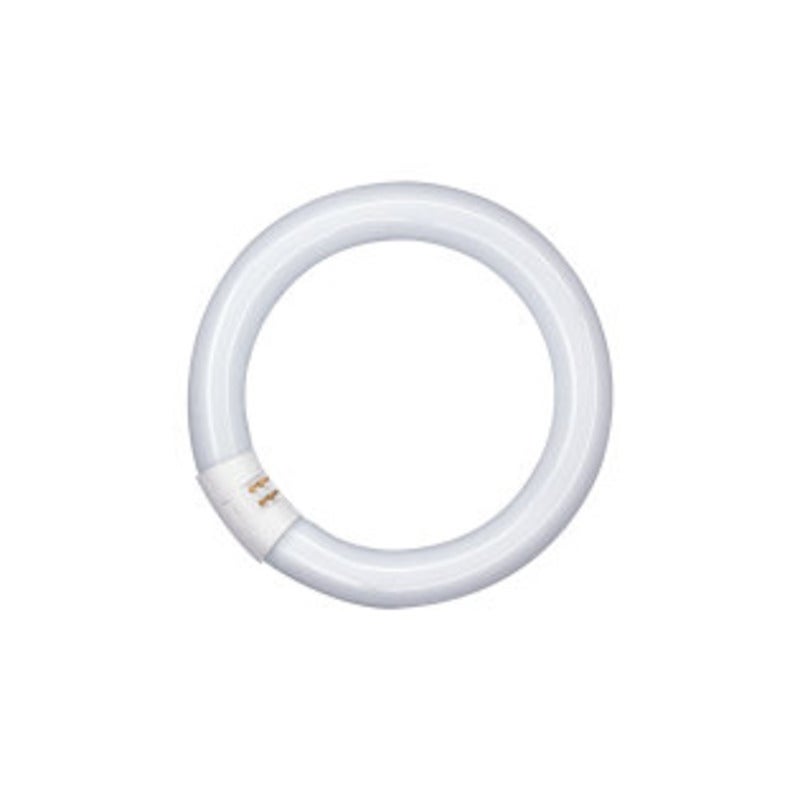 OSRAM - TUBO FLOURESCENTE LUMILUX T9 C G10q / 40W / 840 - 4050300014845 - 2
