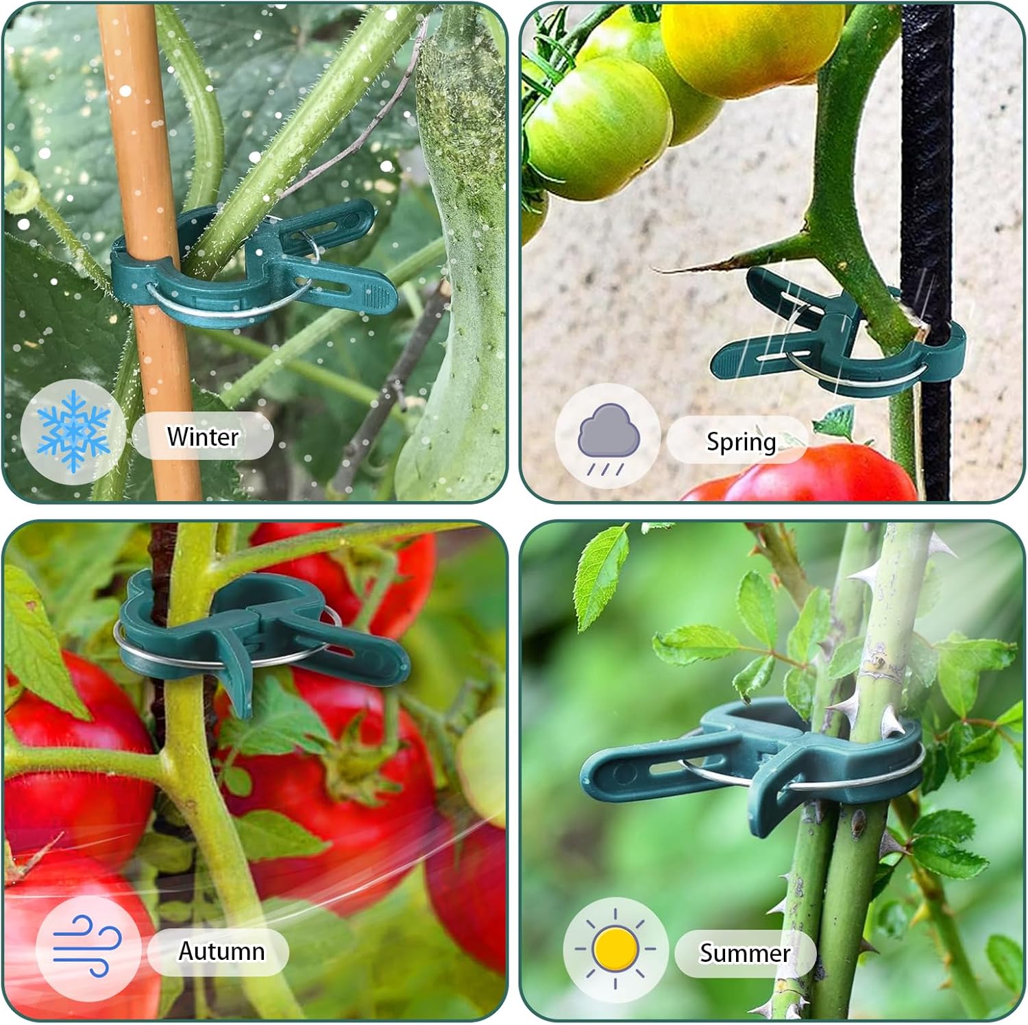 40 Pièces Attache Tomates Reutilisable,Clips de Support pour Plantes,Applicable à Jardins Intérieurs ou Extérieurs,Treillis(Grand) - 3