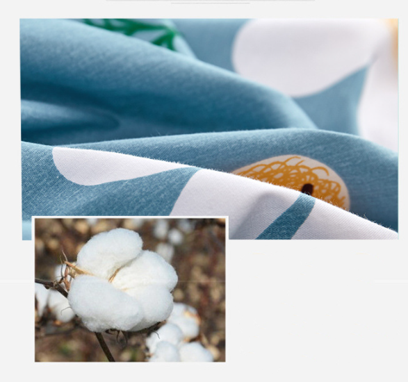 Taies d'oreiller en coton simple/double pour la maison et les dortoirs, 48*74cm (une paire) - 2