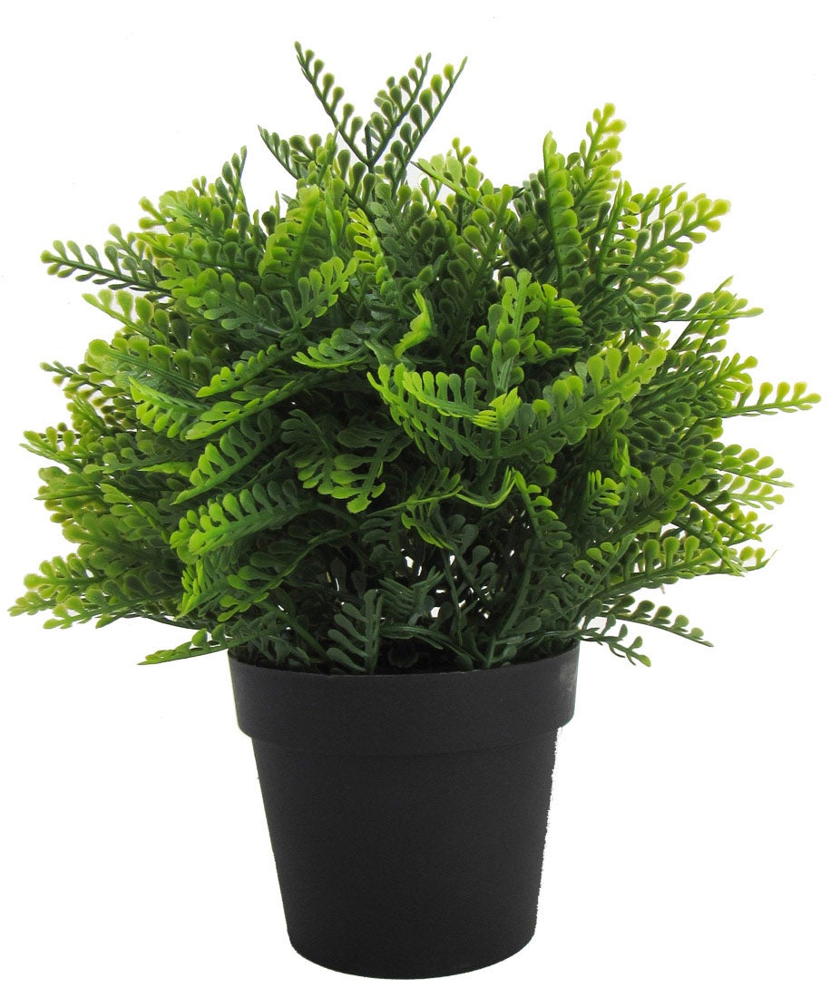 Leaf Mini Signora Felce Pianta Artificiale In Vaso 30 Cm – Verde Che Sembra Vero, Sempre Perfetta - 2