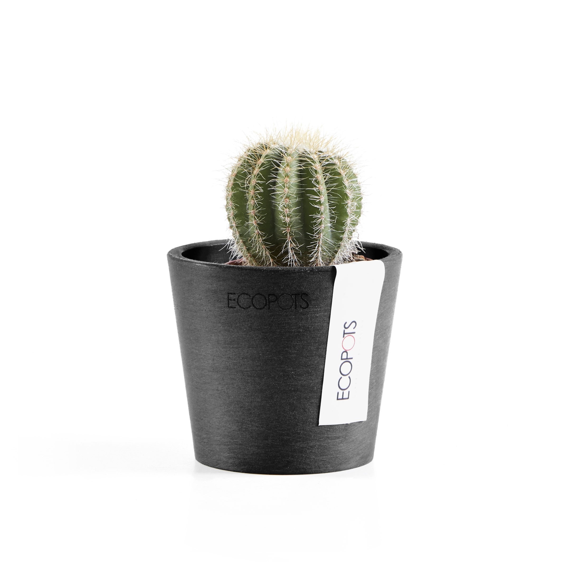 Ecopots Amsterdam 30 Pot de fleurs - L 30 cm x H 25,4 cm - Gris - Intérieur et extérieur - 2