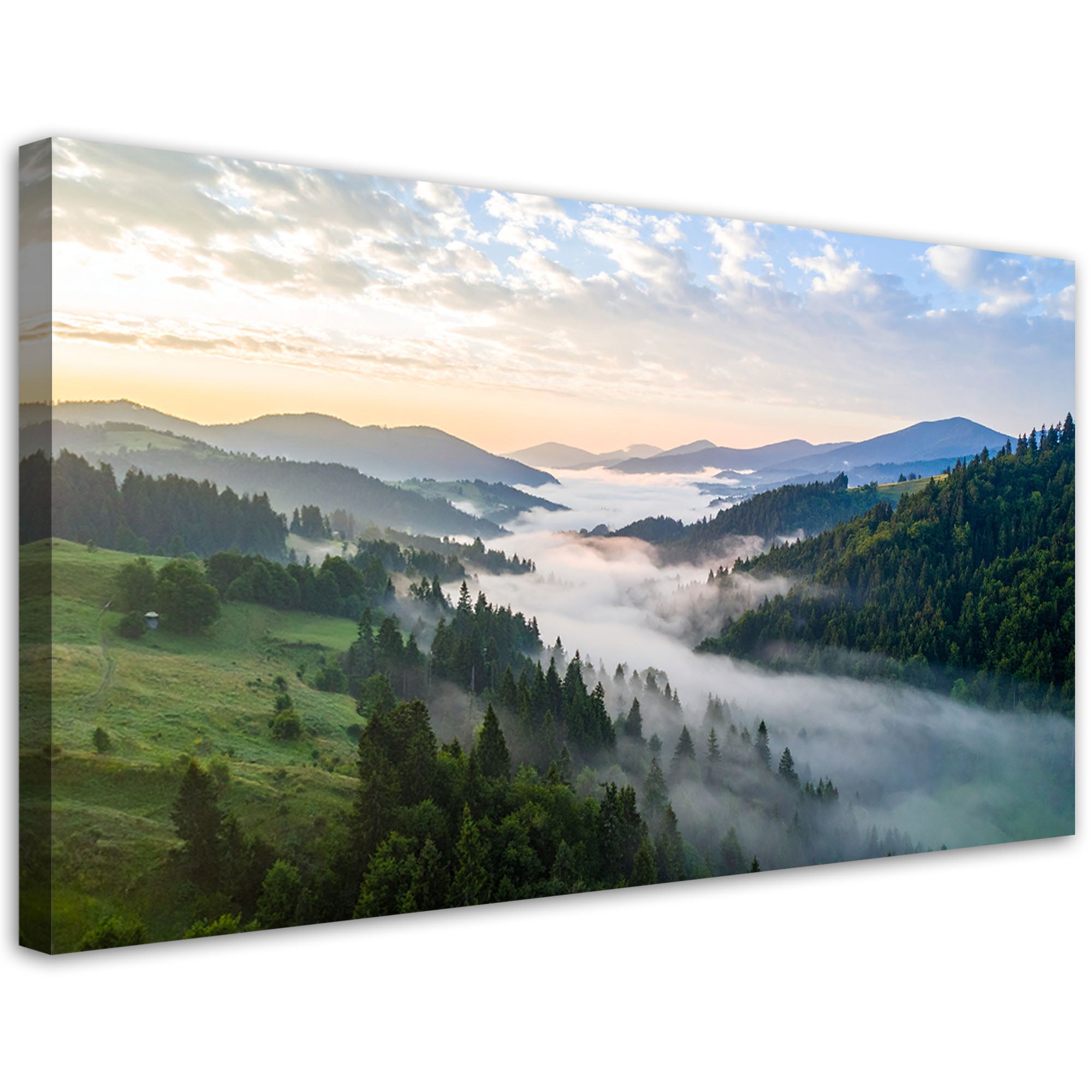 Obraz do salonu sypialni biura, Krajobraz góry we mgle natura 80x40