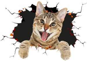 Pegatina 3D de gato extraíble para coche, divertida pegatina de