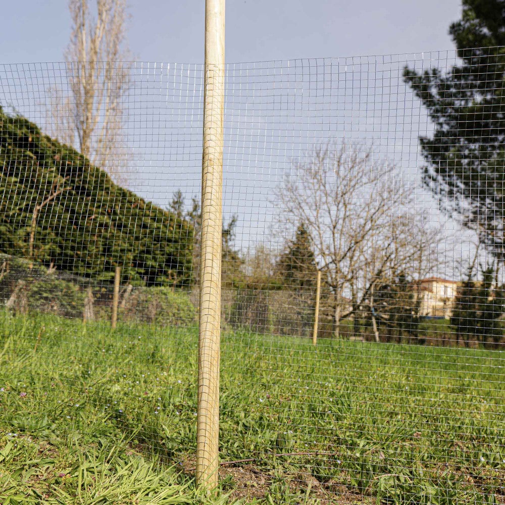 Grillage à poule 30m Haut 1m - Acier galvanisé – Maille carré 16x16mm - Filet de clôture pour poulailler - Epaisseur fil 0,8mm - 4