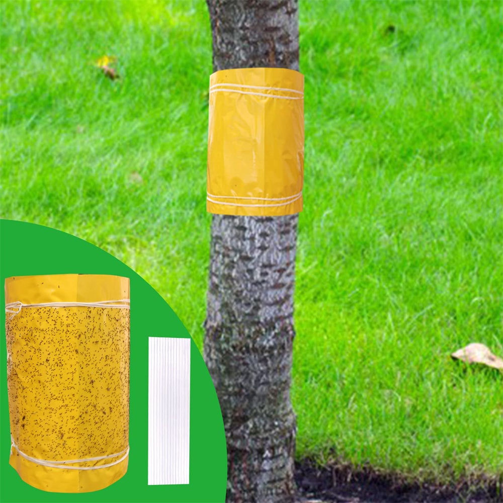 Ruban adhésif double face imperméable prêt à l'emploi pour arbres ...