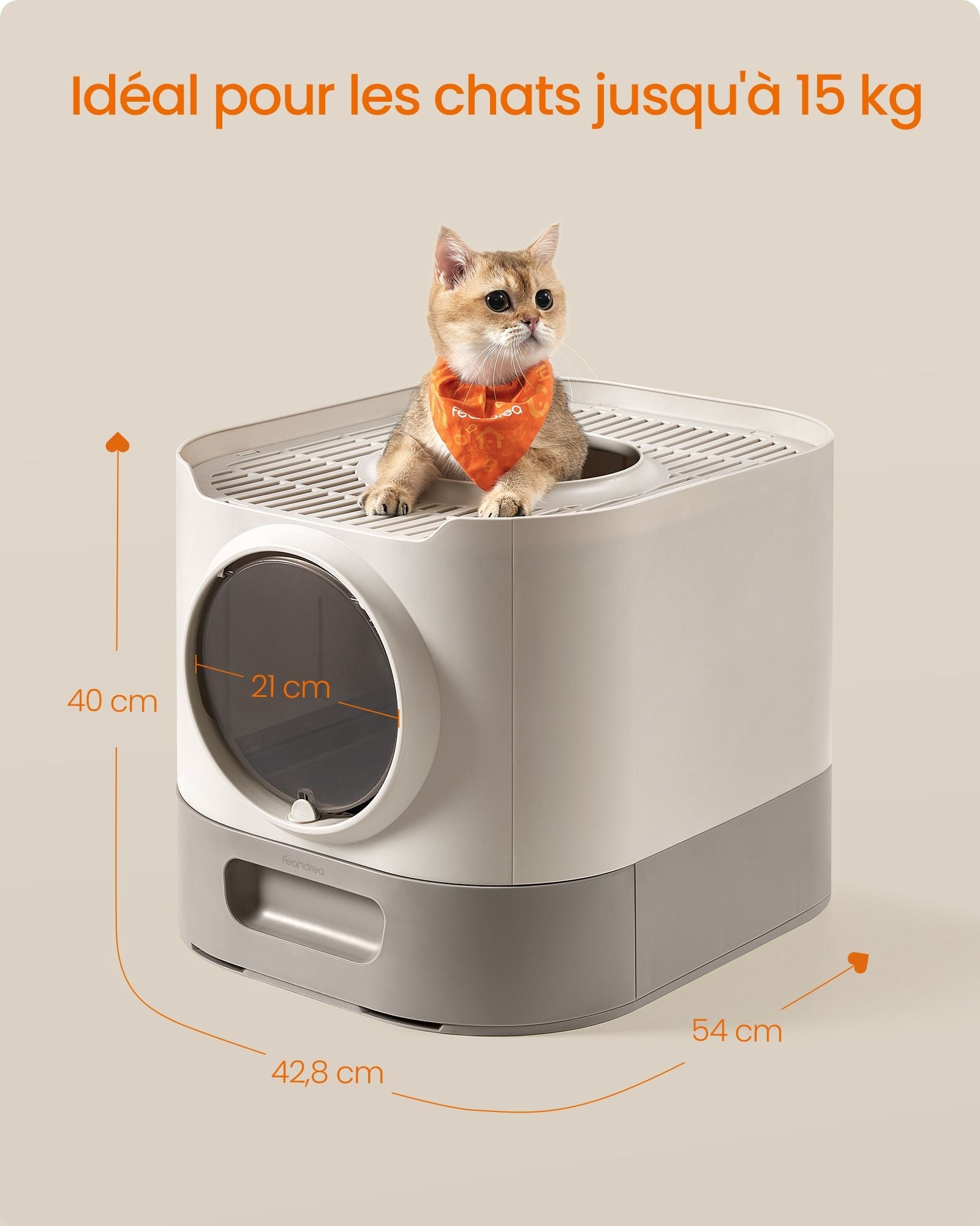 Lettiera XXL per gatti con coperchio vassoio rimovibile paletta spazzola spazio per gatti di grandi dimen 12_0004052 - 6