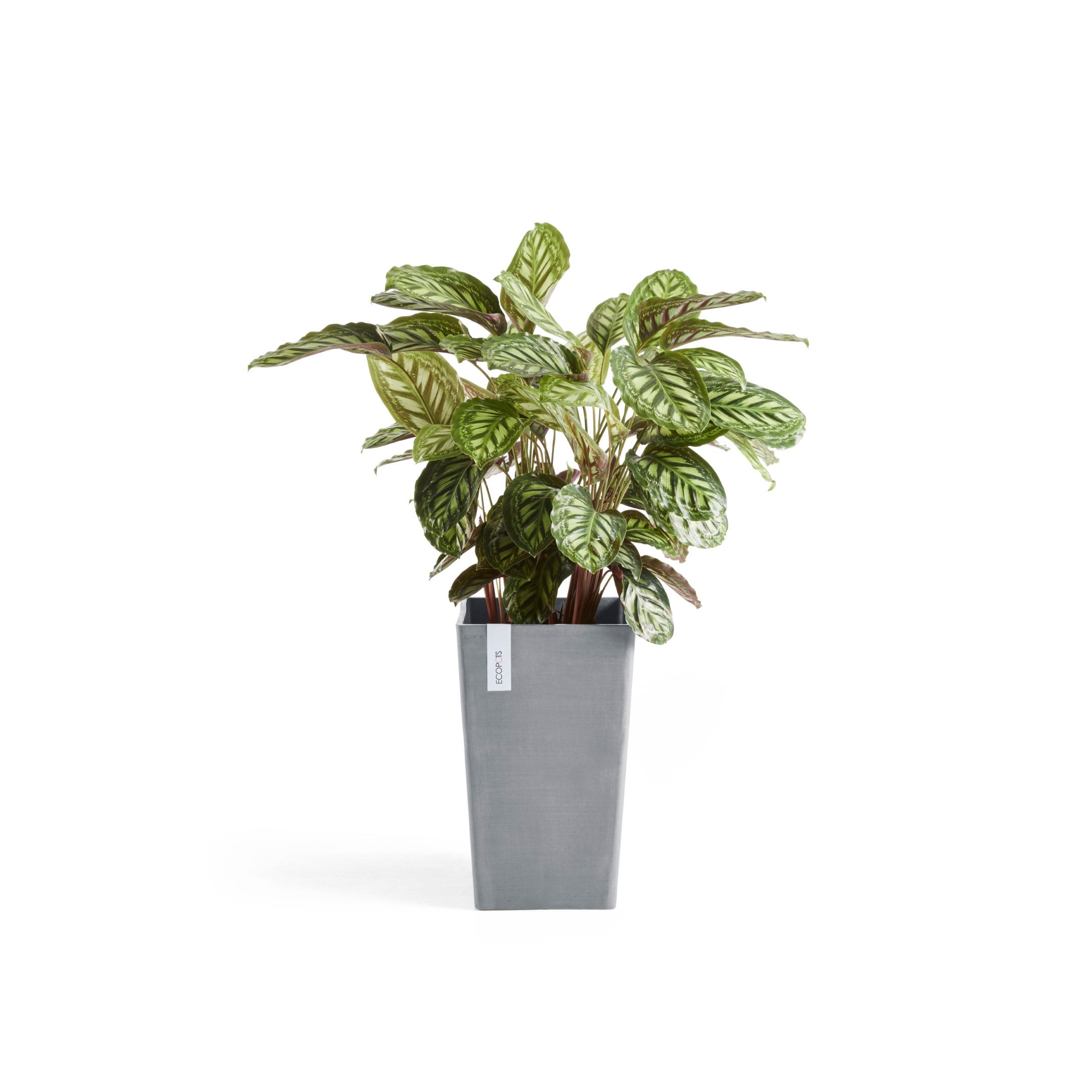 Ecopots Brussels 30 Pot de fleurs - L 30 cm x H 14,8 cm - Taupe - Intérieur et extérieur - 2