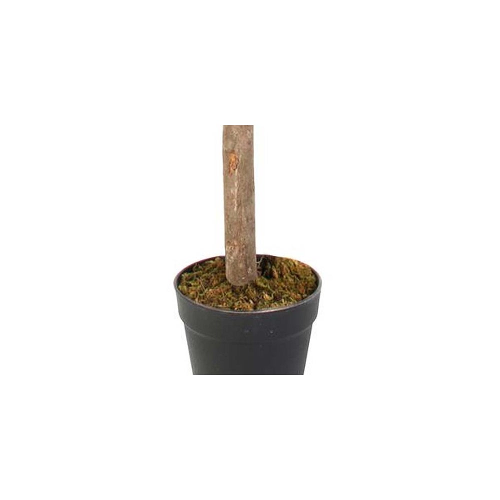Plante Artificielle - Home Deco Factory - Citronnier - Vert Et Jaune - 3