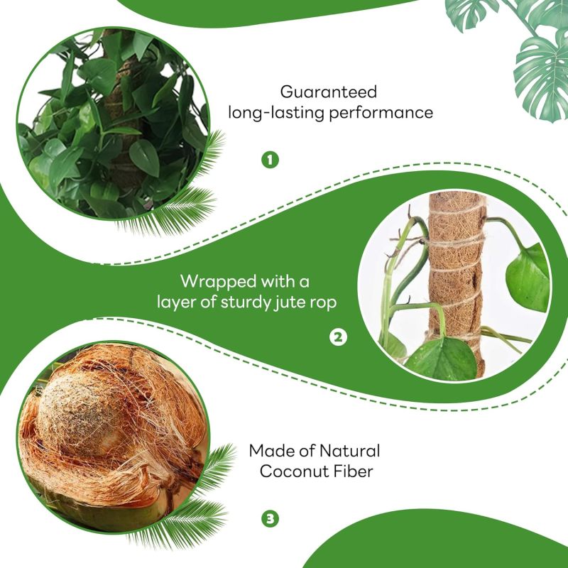 Tuteurs mousse 4 pièces&nbsp;– empilables fibre coco – support Monstera, pothos, philodendron – int/ext. - 6