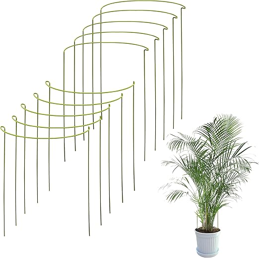 Kit De 10 Tuteur Plante Supports Pour Plantes Grimpantes Et Fleurs kit-de-10-tuteur-plante-supports-pour-plantes-grimpantes-et-fleurs