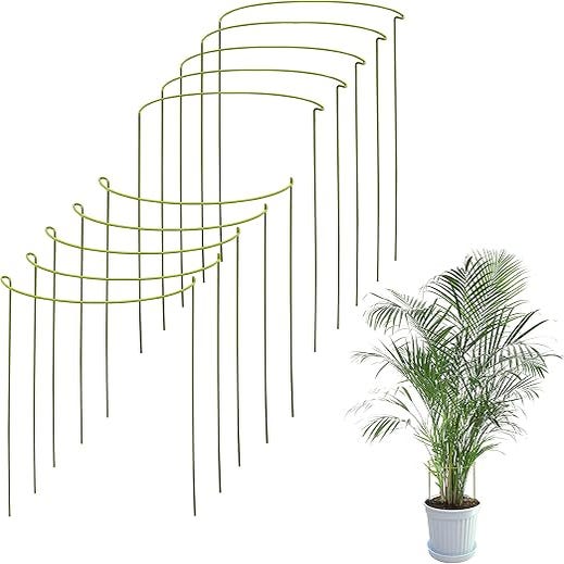 Kit De 10 Tuteur Plante Supports Pour Plantes Grimpantes Et Fleurs Kit De 10 Tuteur Plante Supports Pour Plantes Grimpantes Et Fleurs
