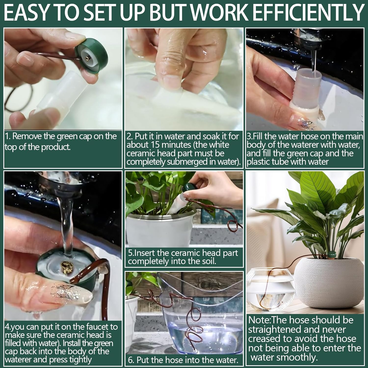 12 cônes d'auto-arrosage automatique pour plantes et fleurs d'intérieur jardin - 5