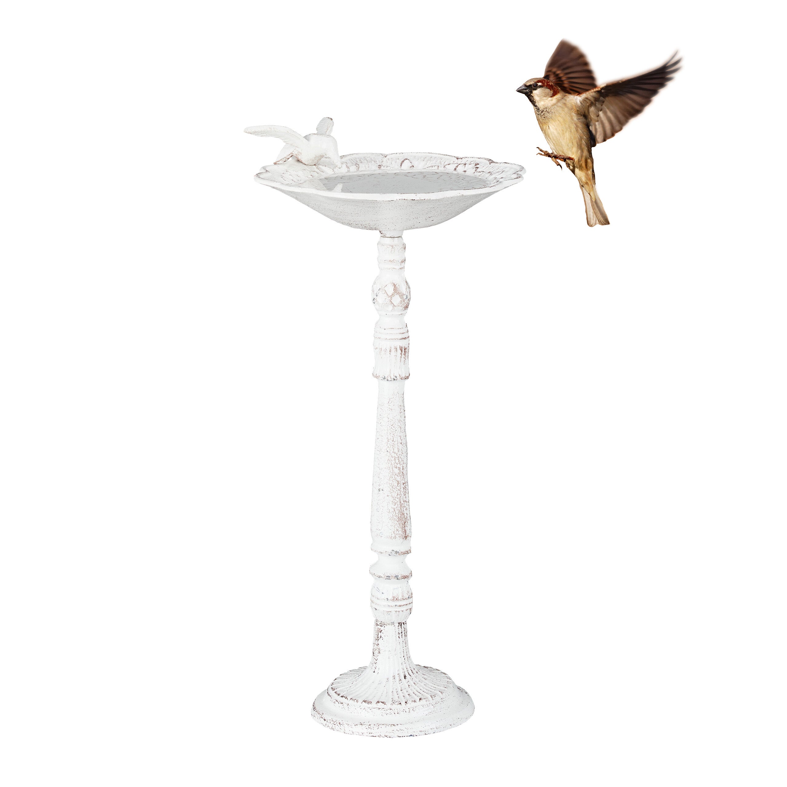 Bain Oiseau / Abreuvoir Jardin Style Antique En Fer - Blanc Crème - 75 Cm - Neuf