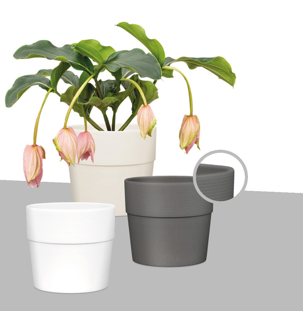 Scheurich Groove 25, pot de fleurs/plantes, rond, en plastique couleur: Avorio, 24,5 cm de diamètre, 22,5 cm de hauteur, 7,7 l vol. - 2