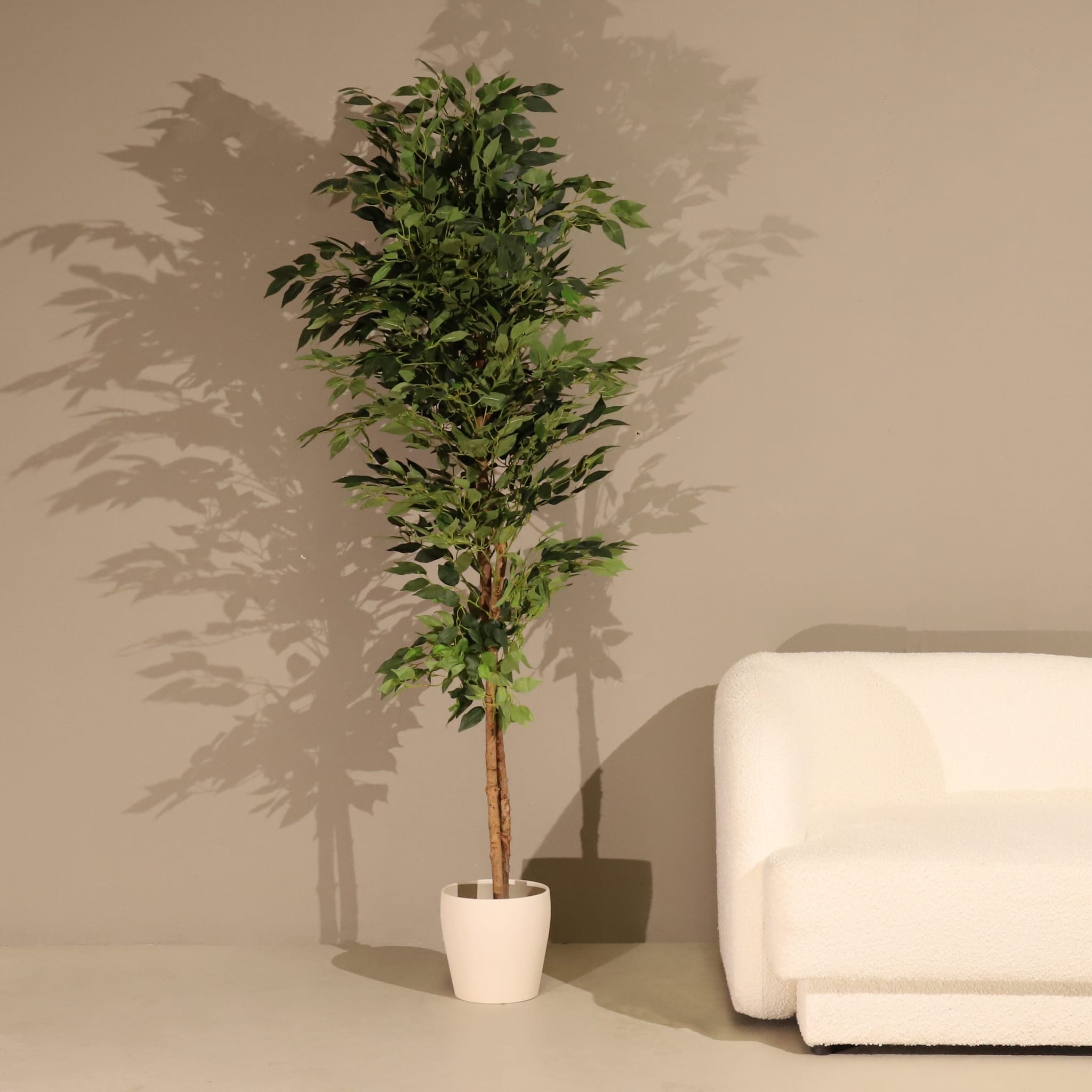 Naturing Monde  Planta Artificial Ignífuga Ficus 180Cm, -Para Interior, Tronco Natural , Leroy Merlin