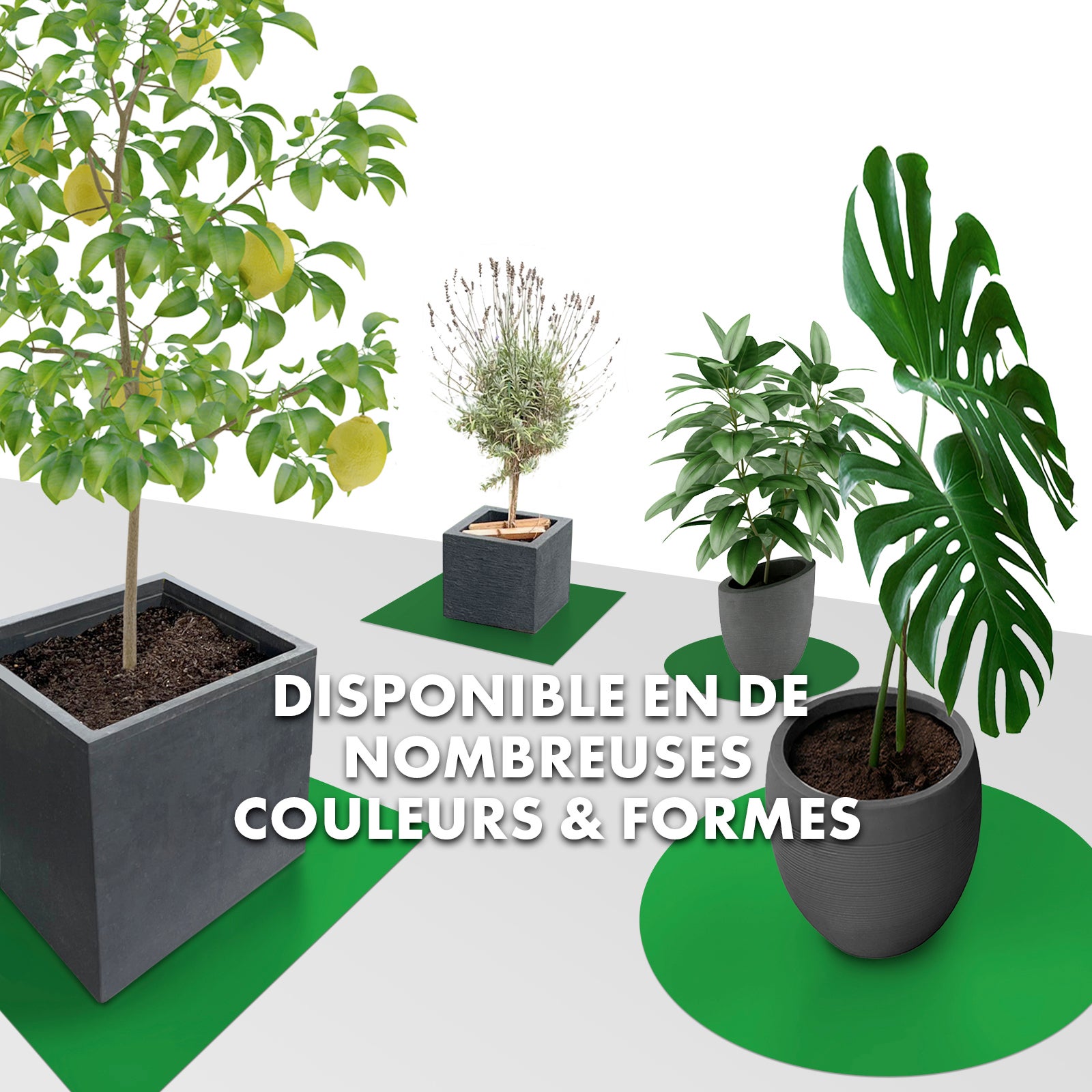 Tapis de jardinière Dessous de Pot de Fleur Majesty, Rond 90 cm, Vert - 4