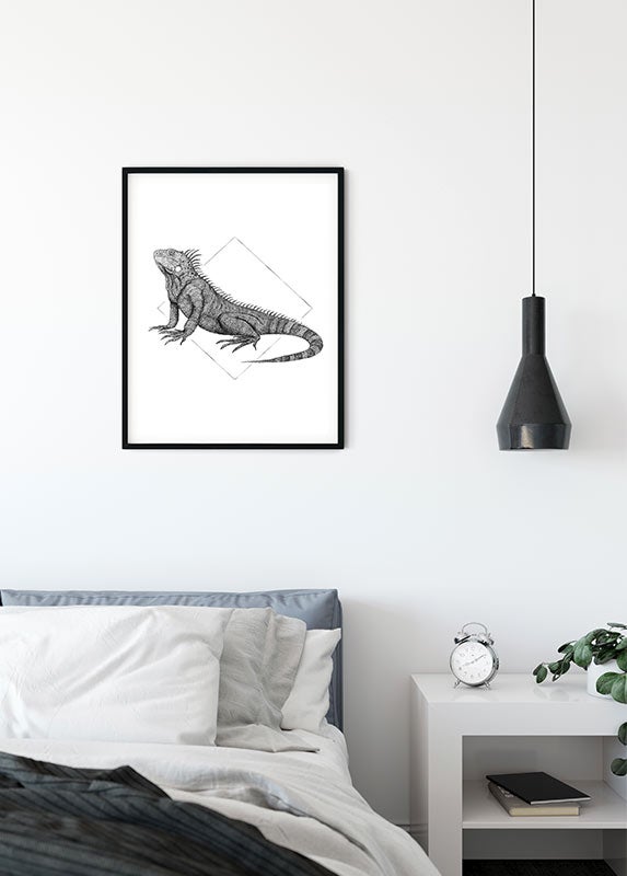 Poster d'art de Komar - Iguana White - Taille: 30 x 40 cm - 3