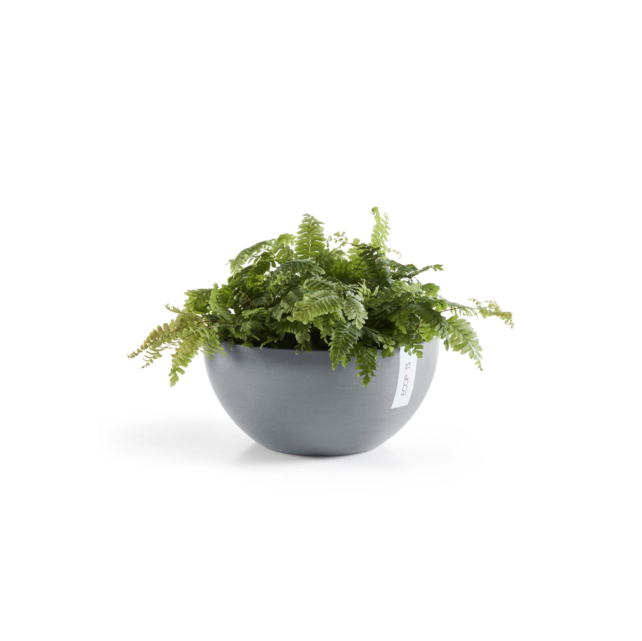 Ecopots Soucoupe ronde 30 pour pot de fleurs - L 28,7 cm x l 28,7 cm x H 3 cm - Gris - Intérieur et extérieur - 2
