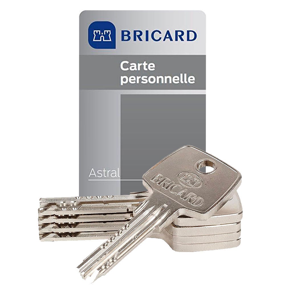 Cilindro serratura frizionabile BRICARD Astral L.30 + 40 mm - 4
